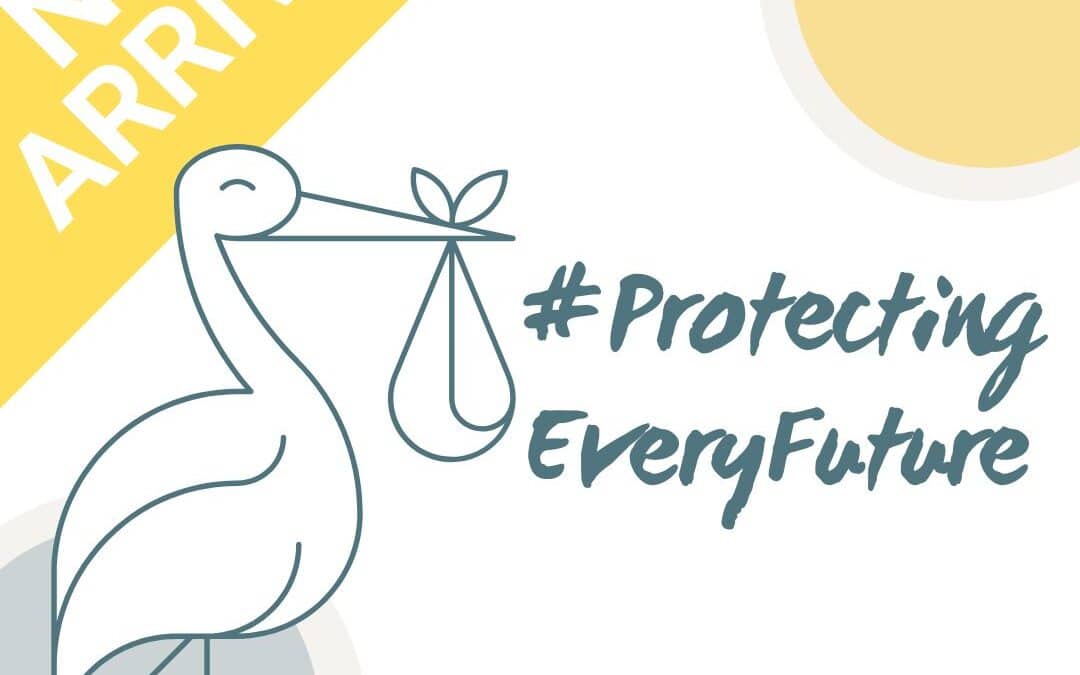 Protecting Every Future – improving understanding of how domestic abuse impacts maternal mental health